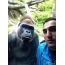 Guy and Gorilla