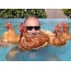 Man with chickens in the pool