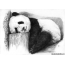 Bo'yalgan panda