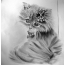 Drawn kitty