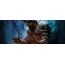 Warcraft හි චරිතය