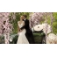 Newlyweds on the background of sakura