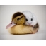 Hamster on the duckling