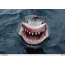 鲨鱼微笑