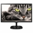 Katze auf dem Monitor