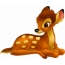 Picture for kids Bambi