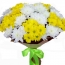 Chrysanthemum melyn a gwyn