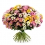 Ang kolor nga mga chrysanthemum