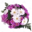 Bouquet of gerberas iyo daisies