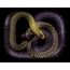 Serpentes in desktop