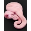 Růžový had