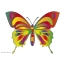 Farebný motýľ