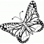 Vijolična metulj
