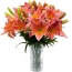 Oranje lily