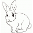 خرگوش رنگ آمیزی برای کودکان