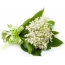 Bouquet of lily of the valley air geal background