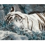 Tigre branco pintado
