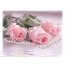 Roses rosati