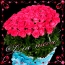 Un grande bouquet di rosati