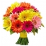 Bouquet af multicolored gerberas