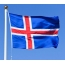 冰岛的徽章
