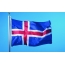 冰岛的徽章