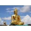 Statue, Budda,