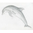 Delfiin joonistamiseks