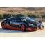 ឆ្នាំ 2010 Bugatti Veyron