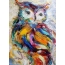 Owl colorful