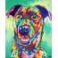 Peintures pour chiens
