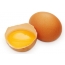 Csirke tojás