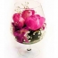Ruže u čaši