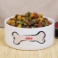 Dog bowl with food