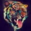 Tiger in culori