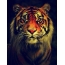 Tiger pe avatar