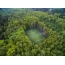 Football field in the forest
