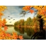 Pictura, arbores autumnales, silva: volucres