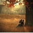 Csókos pár az őszi erdőben