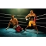 Боксьори в ринга