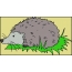 Hedgehog með sveppum