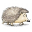 Painted hedgehog