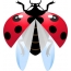 Gambar ladybug
