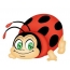 Boldog Ladybug