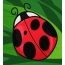 பச்சை பின்னணியில் Ladybug