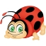 வெள்ளை பின்னணியில் Ladybug