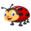 Boldog Ladybug