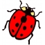 வர்ணம் பூசப்பட்ட ladybug