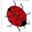 வர்ணம் பூசப்பட்ட ladybug