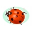 Picture ladybug